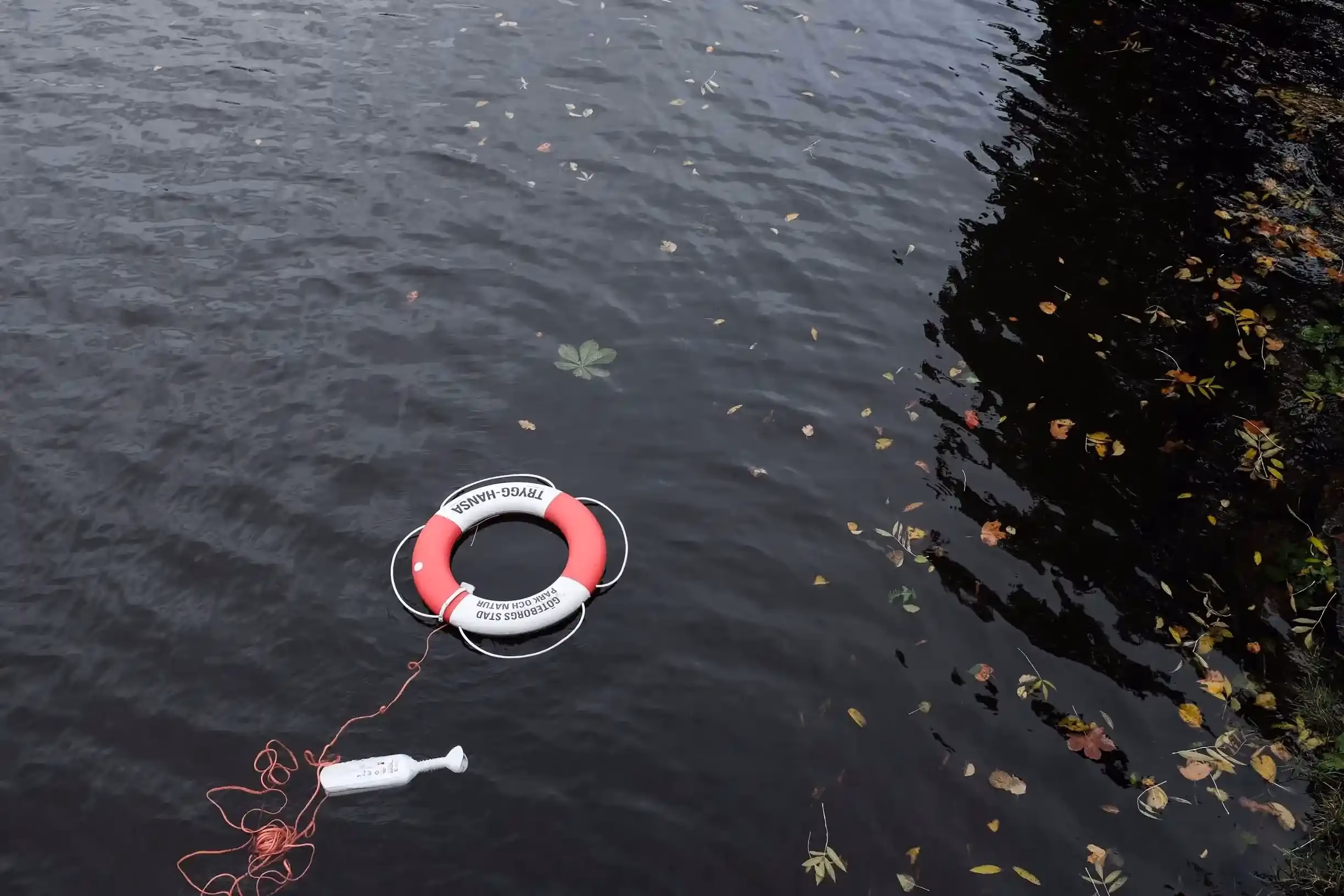 Life preserver floating in a stream